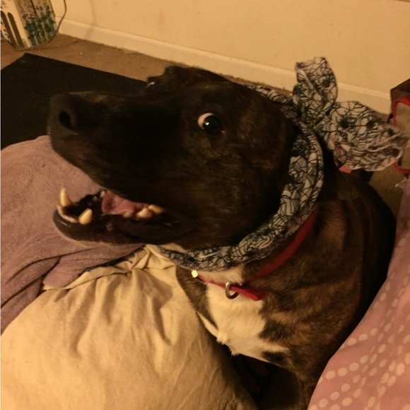 End of duty 6/12/24 - Picture 10 of 15